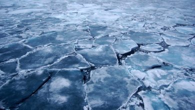 كيف-يتشكل-جليد-البحر-من-مياه-عذبة-بينما-المحيطات-مالحة؟